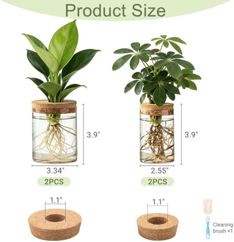 Dahey 4Pcs Glass Plant Propagation Station, 2 Large Vases & 2 Small Pots - Image 3