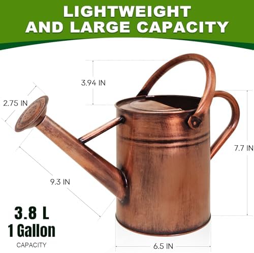 Metal Watering Can with Removable Spout, Galvanized Watering Can, Perfect for Indoor Use and for Outdoor Use (1 Gallaon, Metal) - Image 2