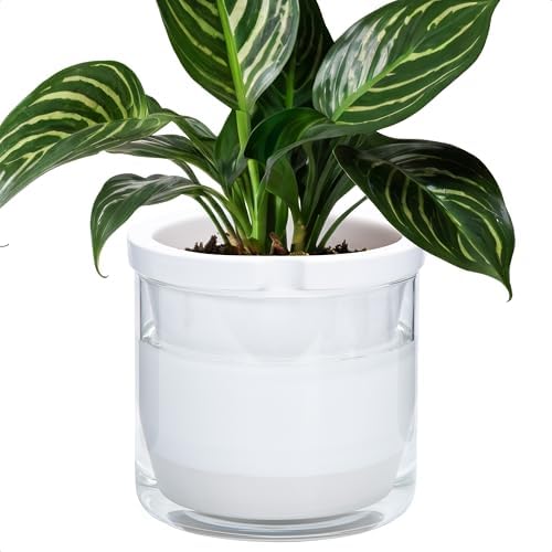 D'vine Dev Self-Watering White Terracotta Planter Pot, 8 in, 37-X-C-2 by DvineDevPlanterPotsandStand