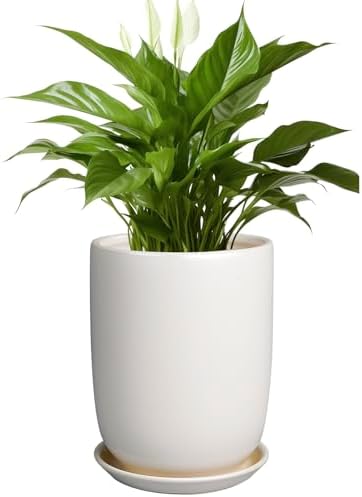 Plant Pot 8 Inch - Ceramic Planter for Indoor Plants Outdoor, Large Plant Pot with Drainage Hole and Saucer, Modern Flower Pot, White by SUNPOTFOR