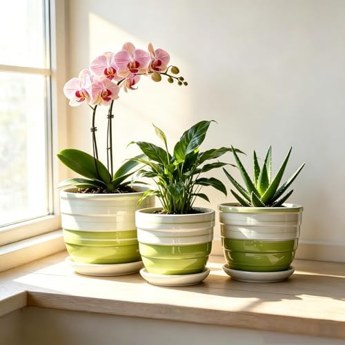 Vintage Flower Pots for Indoor Plant, Round Ceramic Plant Pots with Drainage Holes and Saucers, 6.7/5.2/3.9 Inches Retro Flower Planters Set of 3 - Image 2