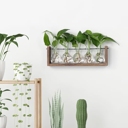 YIBOT Wall Hanging Glass Planter Plant Propagation Vase-5 Bulb Glass Vases - Image 6