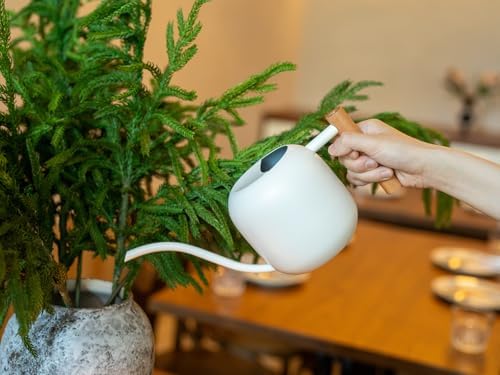 Green Moon 1.2L/41oz Metal Metal Watering Can with Long Spout, White - Image 4