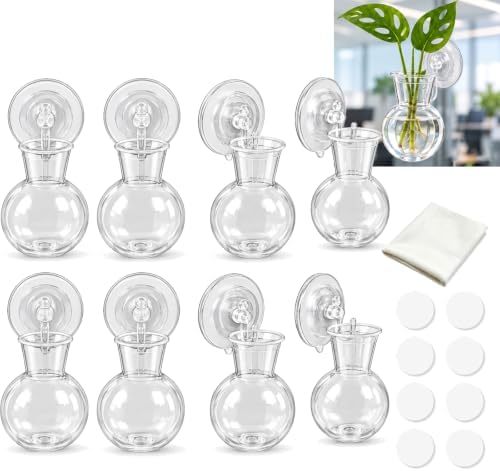 8 Pack Window Propagation Stations, Plastic Plant Terrarium Vases by Unknown