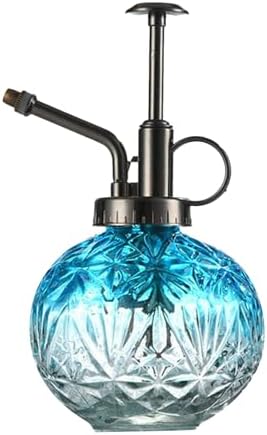 Spray Bottle for Plants, Plant Mister Spray Bottle, Glass Plant Mister Spray Bottle, Embossed Vintage Glass Watering Can, Succulent Watering Bottle with Top Pump for Outdoor (GG) by Unknown