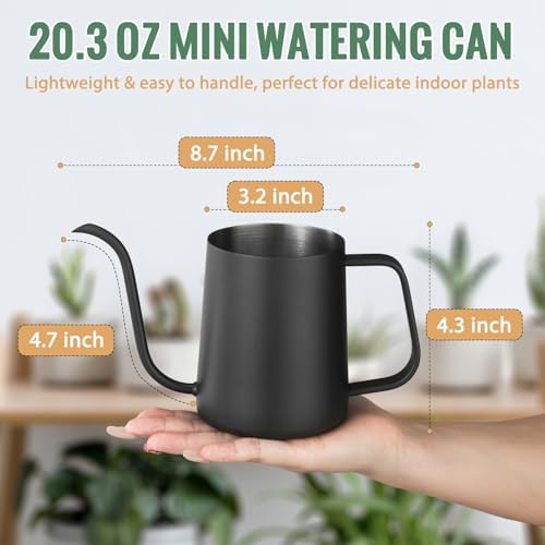 Small Watering Can Indoor Plants 20 OZ Mini Metal Watering Can Leakproof - Image 3