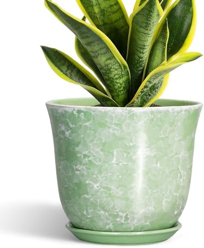 Ceramic Planter - 8 Inch Plant Pot for Indoor Outdoor, Round Flower Pots with Drainage Hole and Saucer, Modern Decorative Planters, Home Office Desk Decor, Gifts for Plant Lovers, Green by SUNPOTFOR