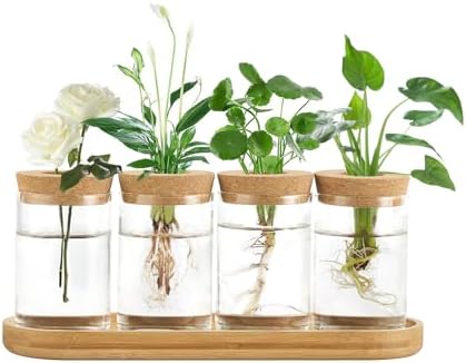 Dahey Plant Propagation Stations, 4 Pcs Glass Vases with Wooden Stand & Lid by Dahey