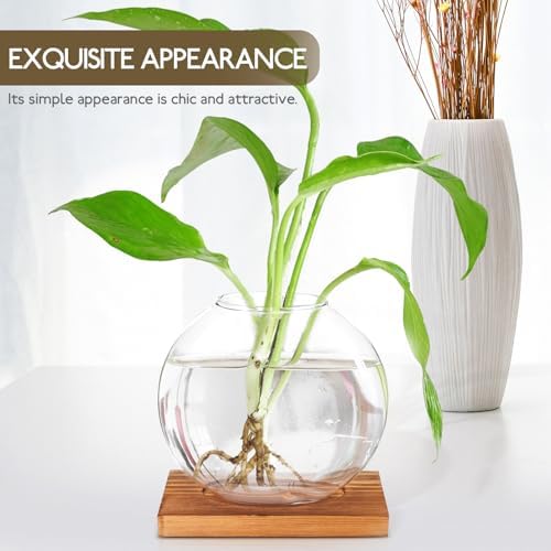 Hydroponic Glass Plant Vase with Wood Base, Small Desktop Flower Propagation Station for Indoor Garden and Office Home Décor - Image 4