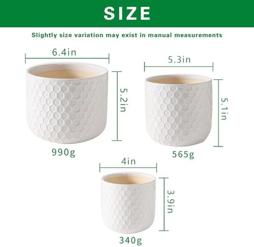 Docrin Plant Pots Indoor with Drainage: 6.4+5.3+4 Inch Ceramic Flower Pots for Plants - Set of 3 Modern Decorative Planters for House/Office/Gift - White Honeycomb - Image 2