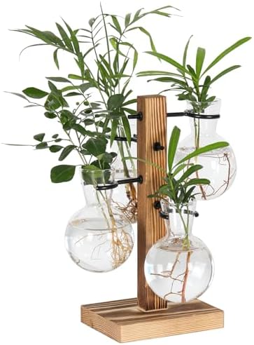 Plant Propagation Station with 4 Glass Vases & Wood Stand, Hydroponic Air Planter for Indoor Plants, Unique Gardening Gift for Women & Plant Lovers, Desktop Terrarium for Home Decor by PAG-Mass