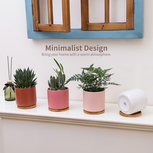 4" Ceramic Plant Pots with Drainage Holes & Trays Multicolor Set of 4 - Image 4