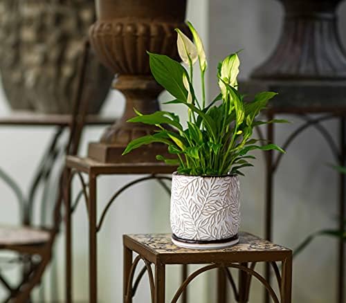 D'vine Dev Embossed Leaves Ceramic Planter, 6 in, Smoked White, 27-A-X-1 - Image 5