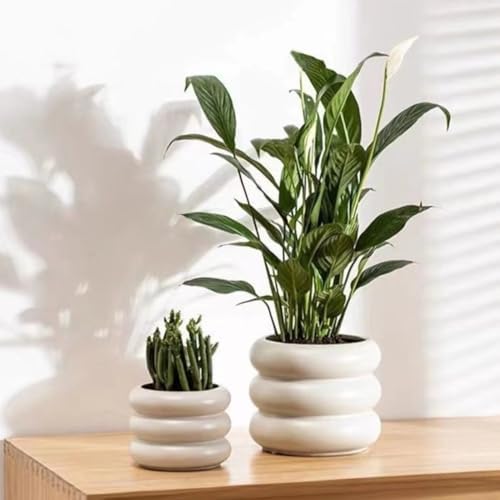 Ceramic Plant Pot Indoor, 6.5 Inch Flower Pot with Drainage Hole, Tiered Bubble Design Ceramic Planter for Home & Office Decor (Beige) - Image 6