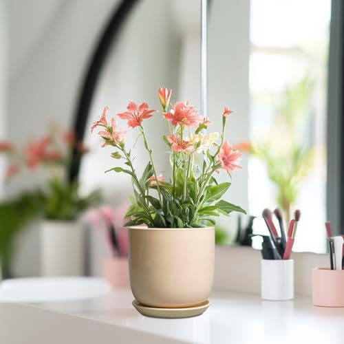 Ceramic Flower Pot 5 Inch - Round Succulent Planter for Indoor Plants with Drainage Hole and Saucer, Patio Room House Office Home Decor, Yellow - Image 2