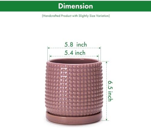 D'vine Dev Beaded Ceramic Pot with Saucer, 6 in, Blush Mauve, 27-C-X-K - Image 4