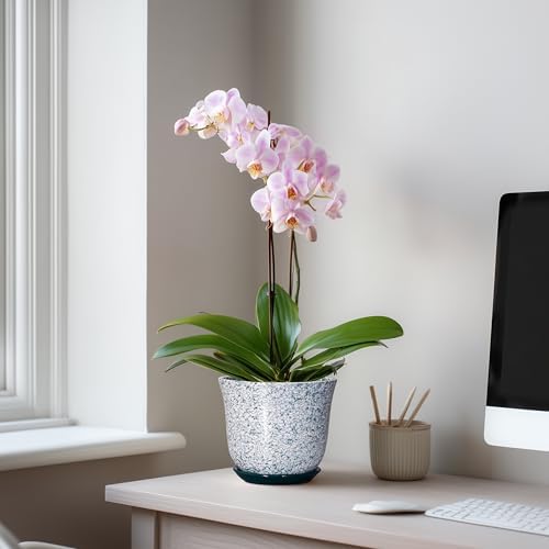 5.6 Inch Plant Pot - Ceramic Plant Pots for Indoor Outdoor, Round Orchid Succulent Pots with Drainage Hole and Saucer, Modern Flower Pot, Home Office Decor, Green-White - Image 3