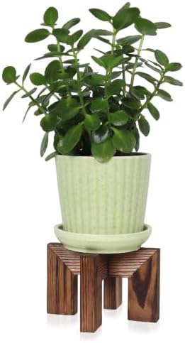 Vigordream Plant Stand, Wood Plant Holder by Vigordream