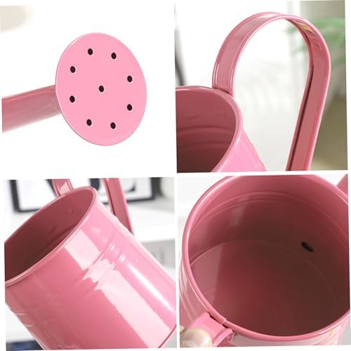 Indoor Watering Can Small Watering Can, Iron Metal with Mesh Spout Vintage Style House Plant Pot Decorative & Functional for Flowers and Plants - Image 4