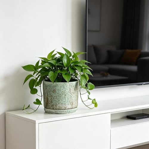 Ekirlin 7 Inch Modern Plant Pot, Ceramic Glaze Planters for Indoor Plants, Round Flower Pots with Drainage Hole and Saucer, Orchid Planter Pot for Succulent, Pothos, Snake Plant,Gift for Plant, Green - Image 2
