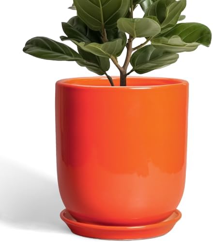 Indoor Planter 10 Inch - Ceramic Plant Pot with Drainage Hole and Saucer, Modern Decorative Round Planter for Indoor Outdoor Plants, Housewarming Gifts, Home Garden Office Decor, Orange by SUNPOTFOR