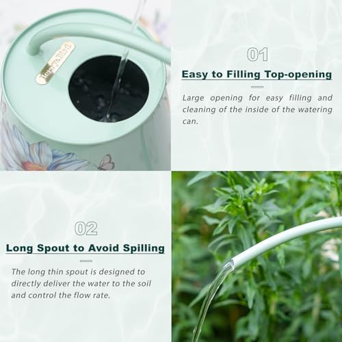 2L Long Spout Watering Can, Stainless Steel (Bellis Perennis) - Image 3