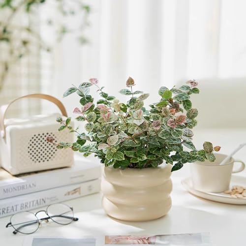 Ceramic Plant Pot Indoor, 4.5 Inch Flower Pot with Drainage Hole, Small Bubble Design Ceramic Planter for Home & Office Decor (Beige) - Image 4