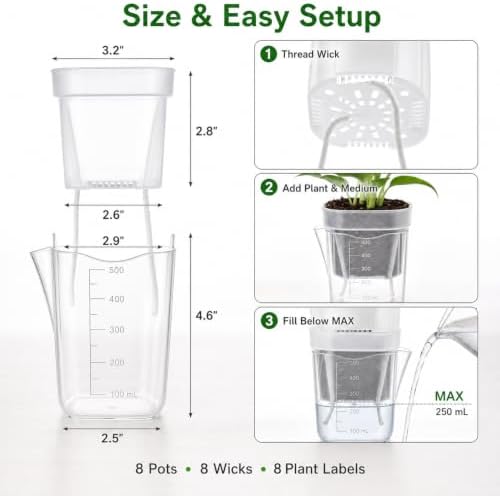 8 Pack 4 Inch Clear Self Watering Pots for Indoor Plants - Image 3