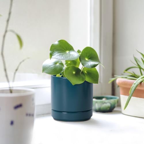 D'vine Dev 4.7 Inch Ceramic Planter Pot, Teal, 94-O-B-9 - Image 2