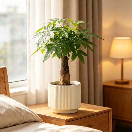 Ceramic Pots 5.1 Inch Fluted Beige Ceramic Planters Round Flower Pots with Drainage Hole for Desk Modern Office Living Room Table Shelf Home Indoor Outdoor Decor(Beige, Medium) - Image 2