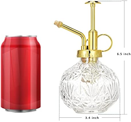 Glass Plant Mister Water Spray Bottle, Succulent Watering Bottle with Plastic Top Pump, 200 ML Capacity Vintage Style Plant Sprayer, Small Watering Can for Indoor Outdoor House Plants - Clear - Image 2