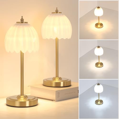 Shenmoyl Set of 2 Tulip Table Lamp with 5000mAh Battery & Touch Control, Cordless Table Lamp with 3 Colors, Dimmable Rechargeable Table Lamps for Bedroom, Living Room, Entryways (White Tulip) by Shenmoyl