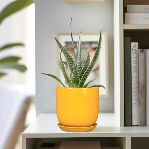 Plant Pot 5 Inch - Modern Round Indoor Ceramic Planter with Drainage Hole and Tray for Succulent Cactus Herbs Plants, Home House Garden Office Decor, Yellow - Image 5