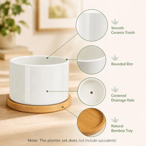 ZOUTOG 4 Pack 3.1" Ceramic Succulent Pots,White Planter with Drainage Tray - Image 4