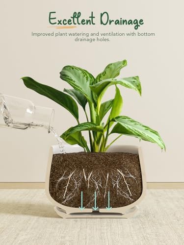 LE TAUCI Ceramic Plant Pots, 4.1+5.1+6.5 inch, Set of 3, Planters with Drainage Hole and Saucer, Indoor Flower Pot with Hole Mesh Pad, Gifts for Mom, White - Image 5