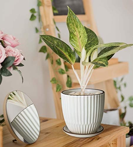 D'vine Dev 2-Pack Stoneware Planter Pots, 4.5/5.8 in, Ivory, 99-D-1 - Image 6