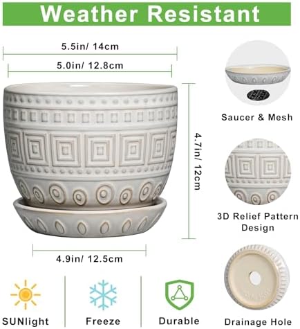 G EPGardening Ceramic Pots for Plants, 5 Inch Plant Pot, White - Image 3