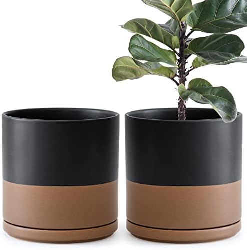 D'vine Dev 2-Pack Ceramic Pots with Saucers, Black/Tan, 10 in, 94-V-E-7 by DvineDevPlanterPotsandStand