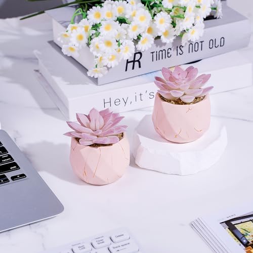 ZENIDA Artificial Succulent Plants in 2 Pink Ceramic Pots, Cute Fake Plants for Vanity Decor,Office, Desk, Bathroom, Kitchen,Bedroom, Shelves Decor for Women,Girls Gift - Image 2