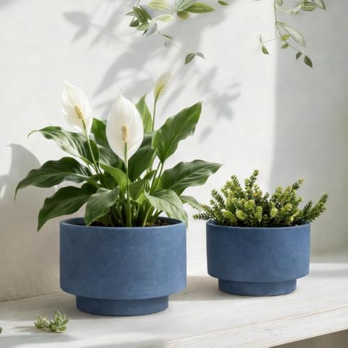 Succulent Pots, 8"+6" Plant Pots, Ceramic Planters for Indoor Plants - Image 3