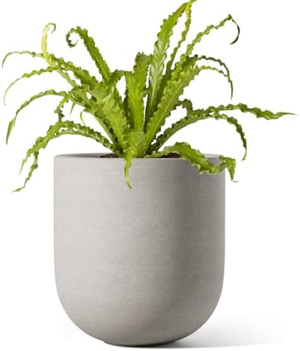 LE TAUCI 6 Inch Plant Pot, Ceramic Planter for Herbs & Small Houseplants, Tabletop Indoor Pot for Shelf, Desk and Windowsill, Small Planter with Drainage Hole & Rubber Plug, Neutral Gray by LETAUCI
