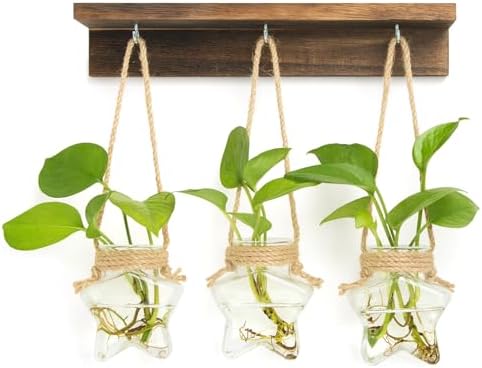 XXXFLOWER Wall Hanging Propagation Station with 3 Star-Shaped Glass Vase by XXXFLOWER