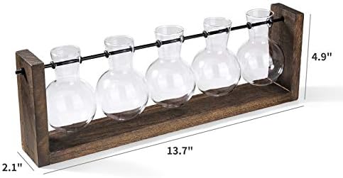 Mkono Plant Propagation Station Hanging Desktop Wooden Stand 5 Vases Holder - Image 3
