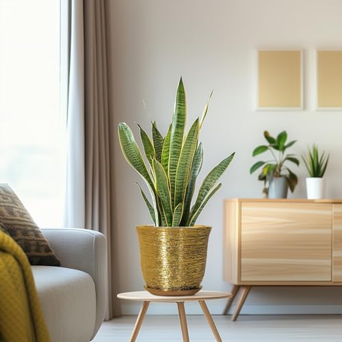 Ceramic Plant Pots - 8 Inch Plant Pot with Drainage Hole and Saucer, Round Planter for Indoor Outdoor, Modern Flower Pot, Decorative Planter, Garden Home Office Decor, Gardening Gifts, Gold - Image 5