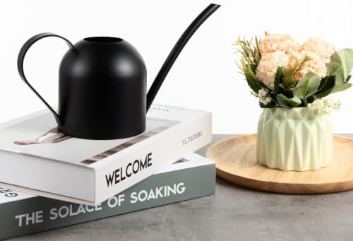 IMEEA Small Watering Can for Indoor Plants Stainless Steel Watering Can with Long Spout 15oz/450ml, (Black) - Image 5