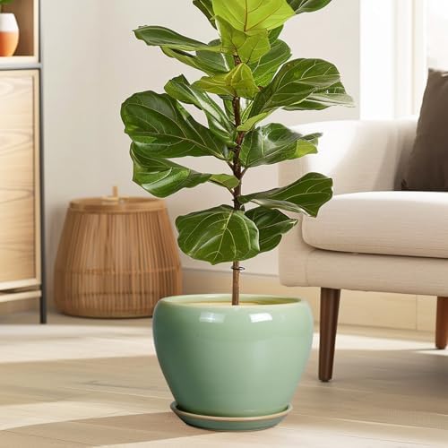 Ceramicfor 8 Inch Plant Pot - Ceramic Planter for Outdoor Plants Indoor Plant Pot with Drainage Hole and Saucer Mid-Century Round Planter Flower Pot for House Garden Green - Image 2