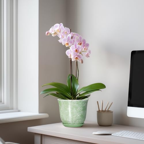 Ceramic Plant Pots - 5.6 Inch Plant Pot with Drainage Hole and Saucer, Round Orchid Succulent Pots for Indoor Outdoor, Small Modern Planter, Desk Window Room Decor, Green - Image 3