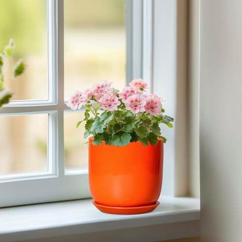 5 Inch Plant Pot - Ceramic Planter for Succulent Cactus Herbs Indoor Plants, Modern Round Flower Pot with Drainage Hole and Saucer, Gifts for Plant Lovers, Patio Office Home Decor, Orange - Image 2