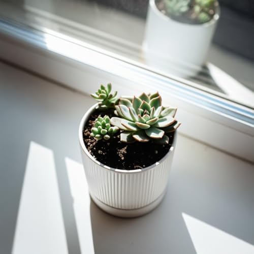 HERDUK Small Plant Pots, 4 Inch Pots for Indoor Plants, Modern Minimalist Ceramic Plant Pots with Drainage Hole & Saucer, White Set of 2 - Image 3