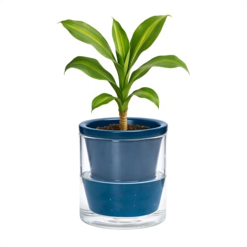 D'vine Dev Self-Watering Blue Terracotta Planter Pot, 4 in, 37-X-A-4 by DvineDevPlanterPotsandStand